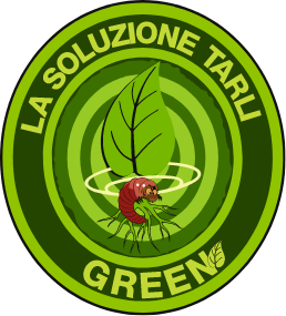 Disinfestazione Tarli